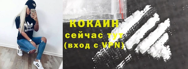 стафф Богданович