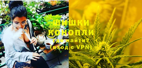 стафф Богданович