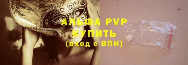 стафф Богданович