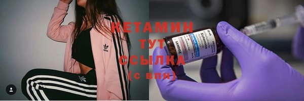 стафф Богданович