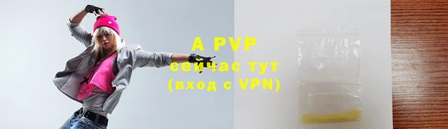 стафф Богданович