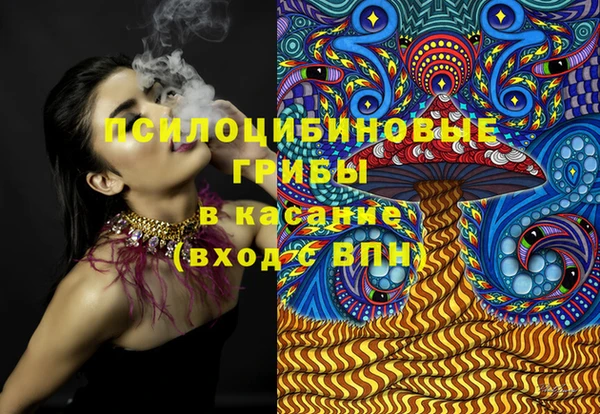 стафф Богданович