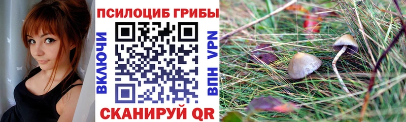 Псилоцибиновые грибы Psilocybine cubensis  где купить наркотик  Котельниково 